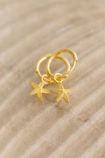 Starfish Earrings