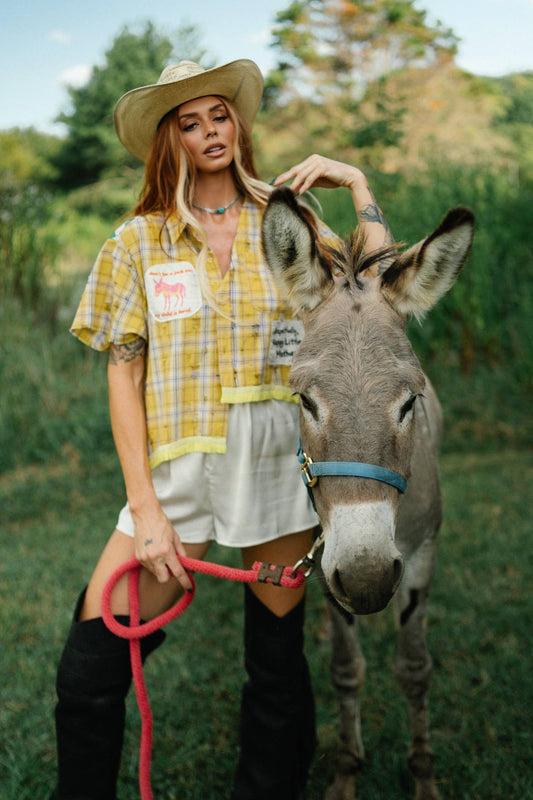 RESPECTFULLY, The Donkey