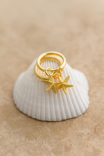 Starfish Earrings